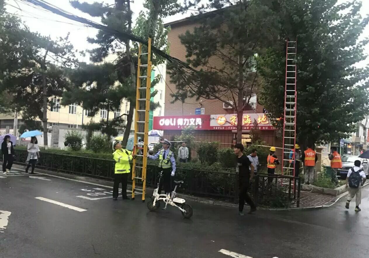 陈法民蔡涛 (2).jpg